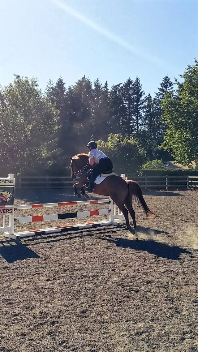 Customer photo of work by Emerson Equestrian, from Adrianne Gabris's review