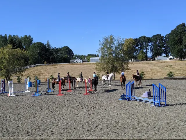 Emerson Equestrian — customer photo 3