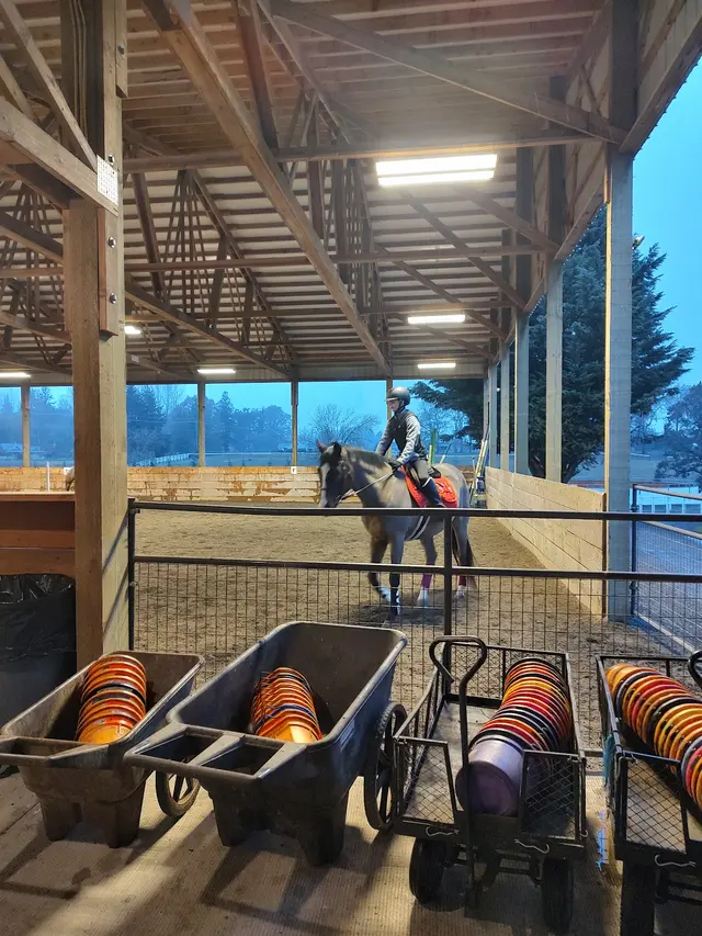 Customer photo of work by Emerson Equestrian, from William Case's review