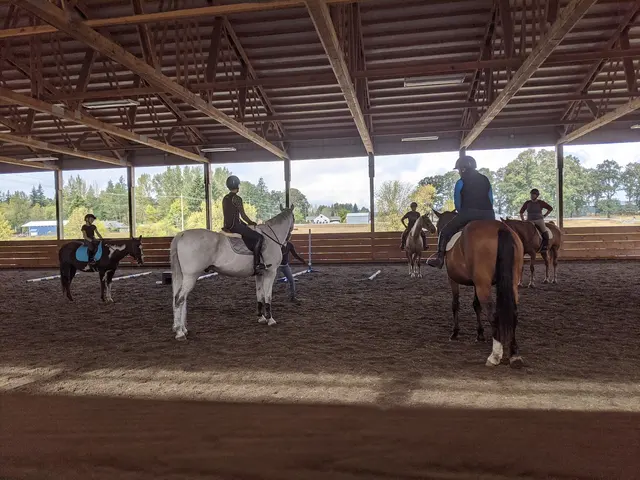 Emerson Equestrian — customer photo 7