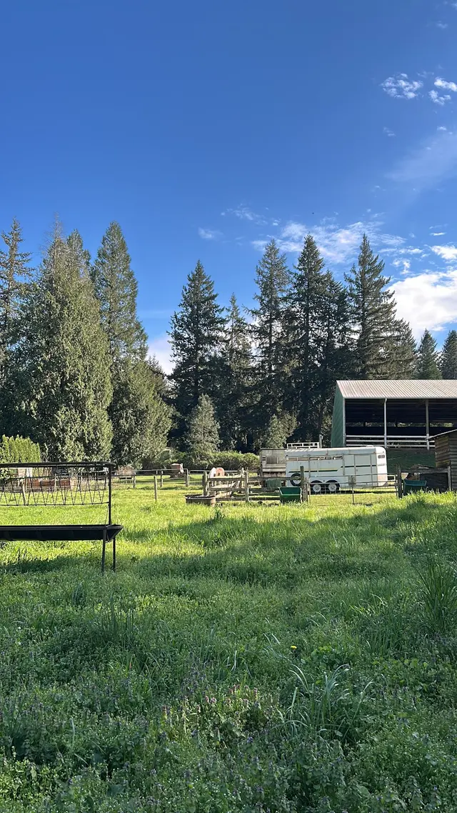 Son Rise Ranch — customer photo 10
