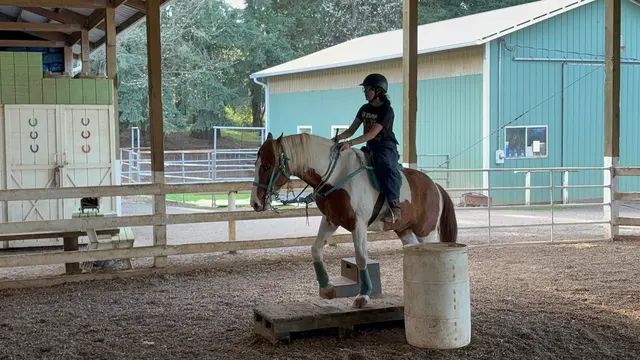 Son Rise Ranch — customer photo 2
