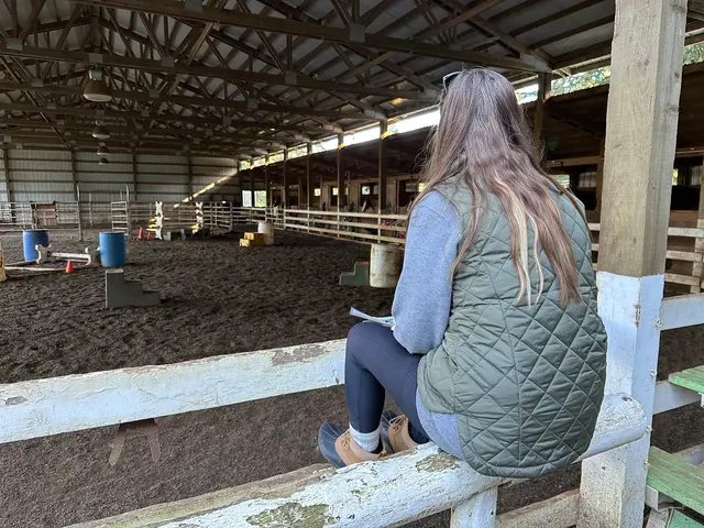 Son Rise Ranch — customer photo 11