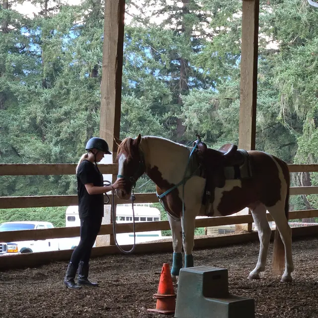 Customer photo of work by Son Rise Ranch, from Olga Sh's review