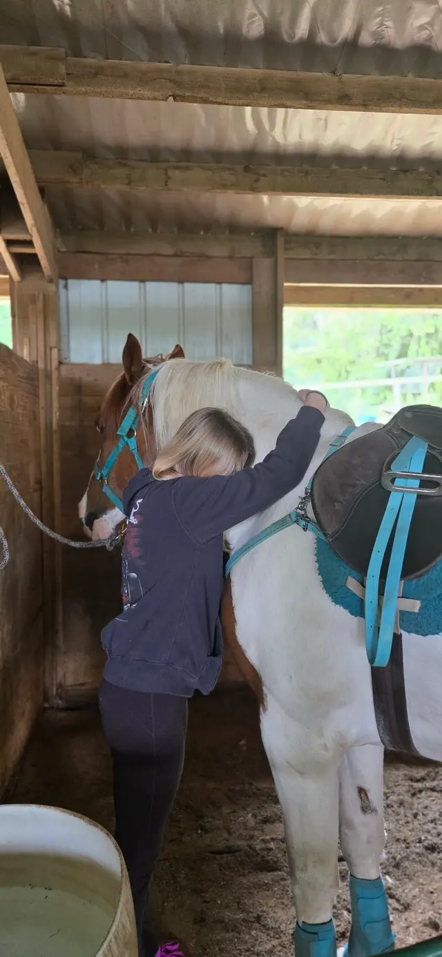 Customer photo of work by Son Rise Ranch, from Olga Sh's review