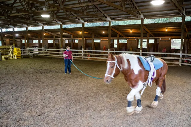 Son Rise Ranch — customer photo 1
