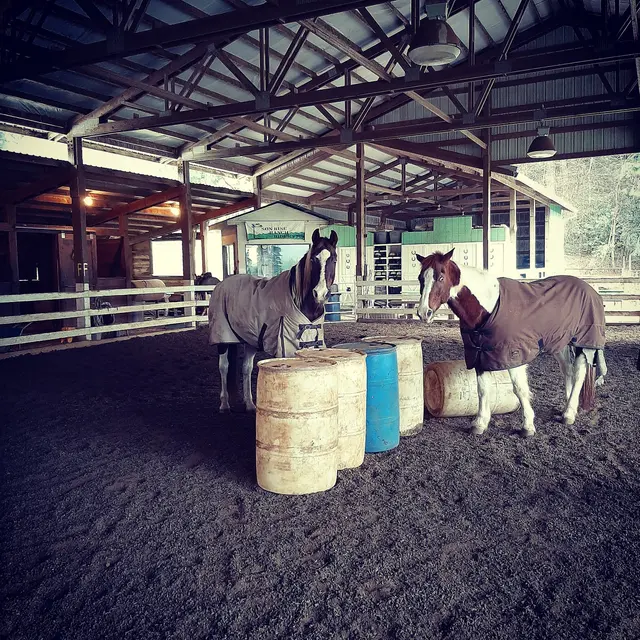 Son Rise Ranch — customer photo 4