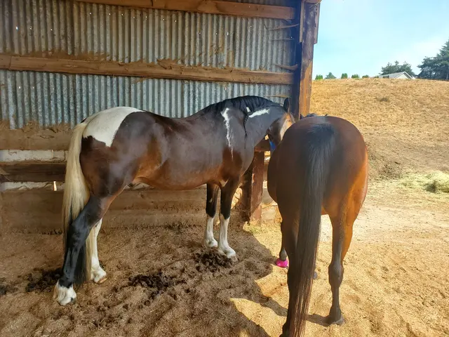 Wild Horse Acres — customer photo 9