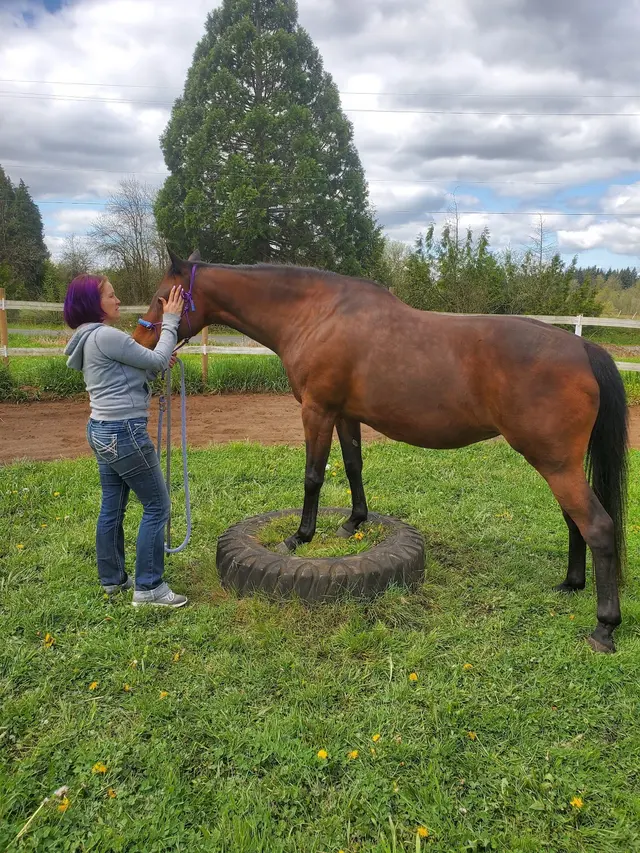 Wild Horse Acres — customer photo 1