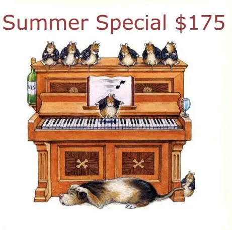 David's Piano Tuning Service — photo from the business 8