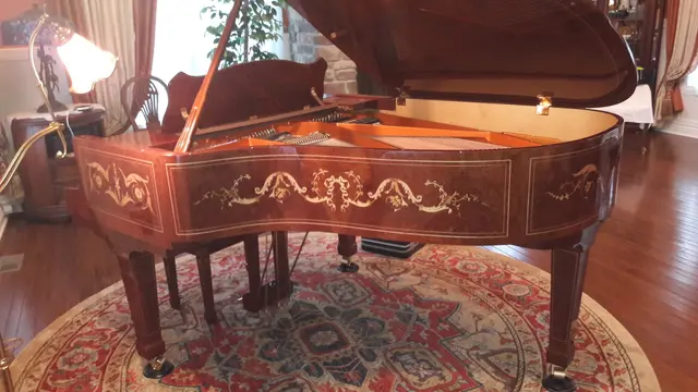David's Piano Tuning Service — photo from the business 10