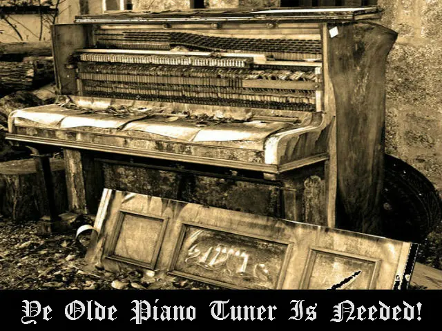 David's Piano Tuning Service — photo from the business 9