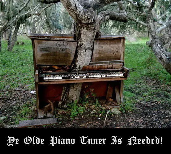 David's Piano Tuning Service — photo from the business 12