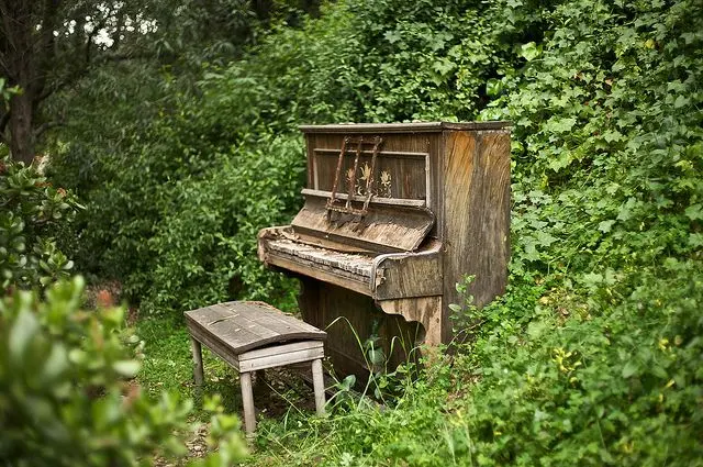 David's Piano Tuning Service — customer photo 6