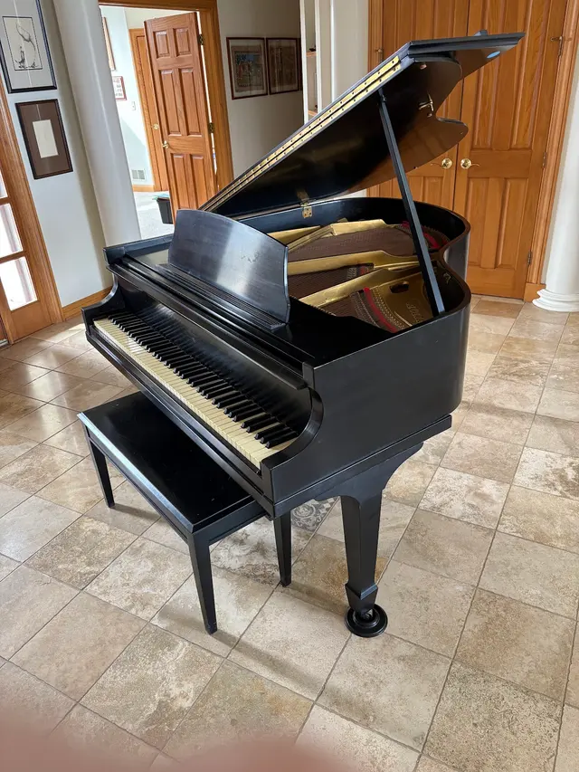 Piano Wizards — customer photo 2