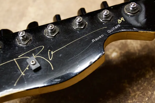 Rauen Guitars — photo from the business 2