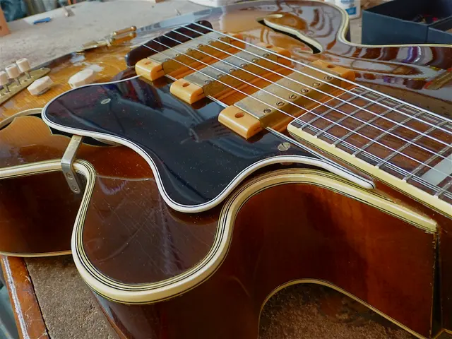 Rauen Guitars — photo from the business 1