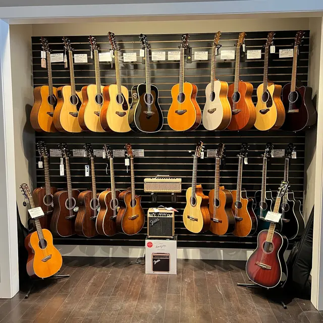 White House of Music — photo from the business 3