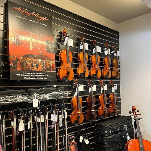White House of Music — photo from the business 4