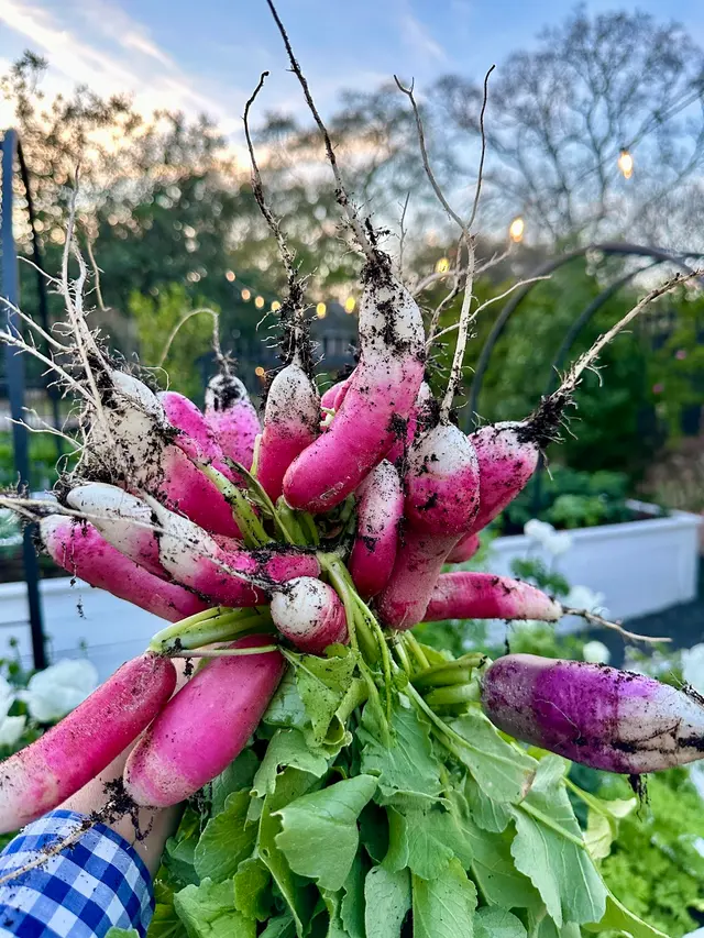 Garden Girls — photo from the business 6