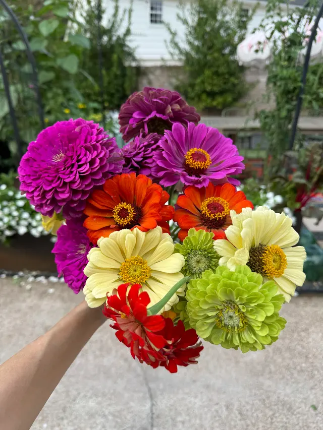 Garden Girls — photo from the business 5