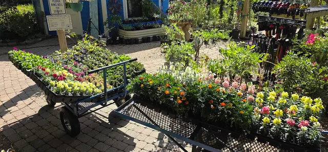 Gripon Gardens at Lynn's Inc. — photo from the business 8