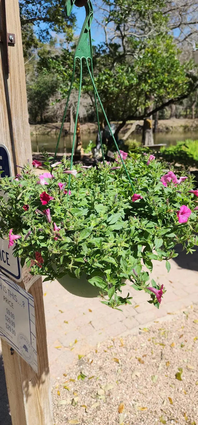 Gripon Gardens at Lynn's Inc. — photo from the business 6