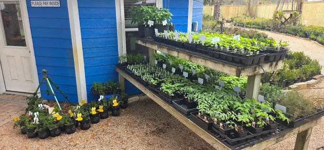 Gripon Gardens at Lynn's Inc. — photo from the business 2