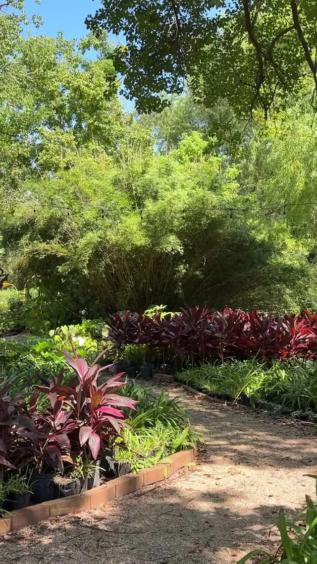 Customer photo of work by Gripon Gardens at Lynn's Inc., from Emma's review