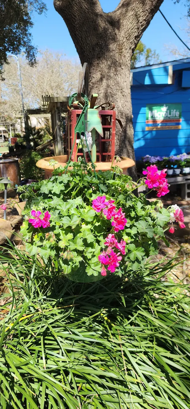 Gripon Gardens at Lynn's Inc. — photo from the business 12