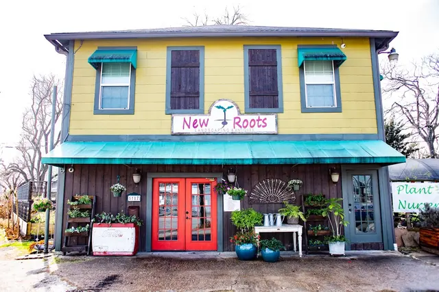 New Roots — photo from the business 1