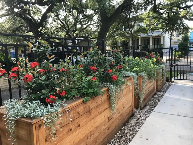 New Roots — photo from the business 7