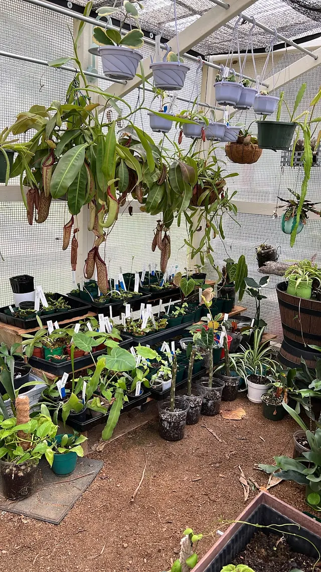 Kiki's Octopus Garden — photo from the business 8