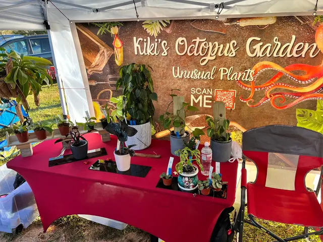 Kiki's Octopus Garden — photo from the business 1