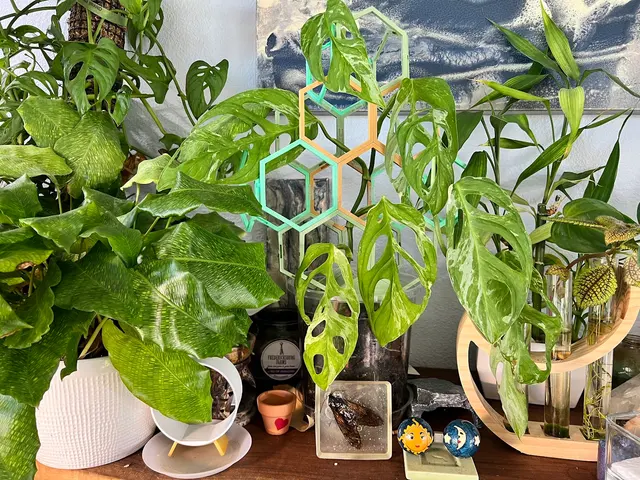 Kiki's Octopus Garden — photo from the business 5