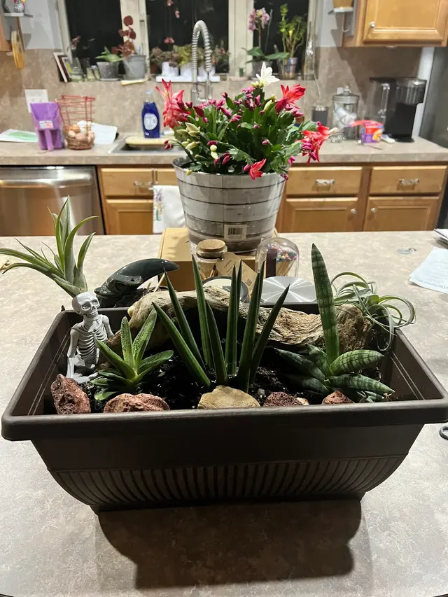Kiki's Octopus Garden — photo from the business 6
