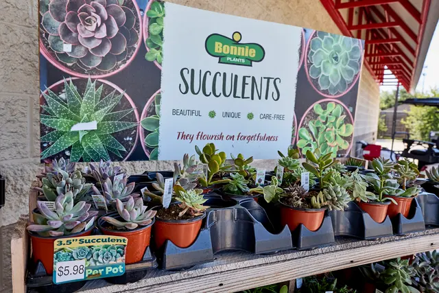 Tractor Supply Co. — photo from the business 5