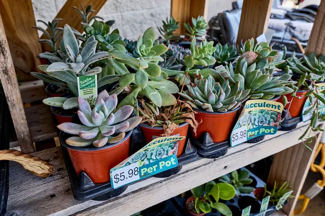 Tractor Supply Co. — photo from the business 10