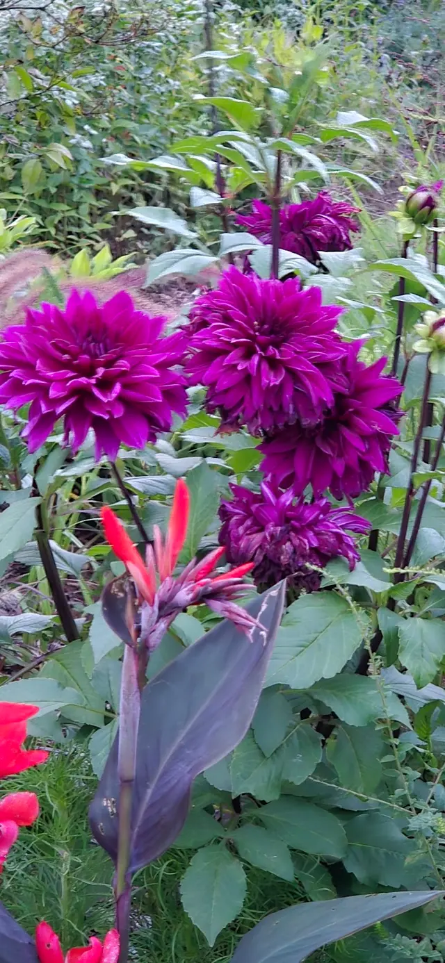 Glen Magna Farms — customer photo 12
