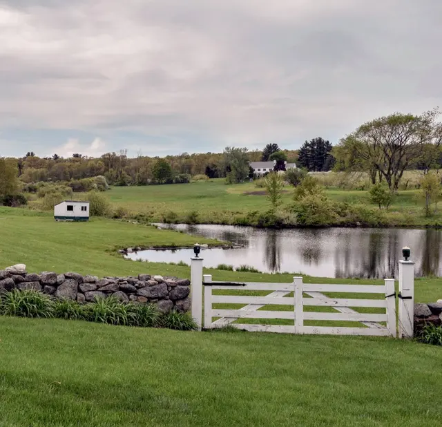 Connemara House Farm — photo from the business 11
