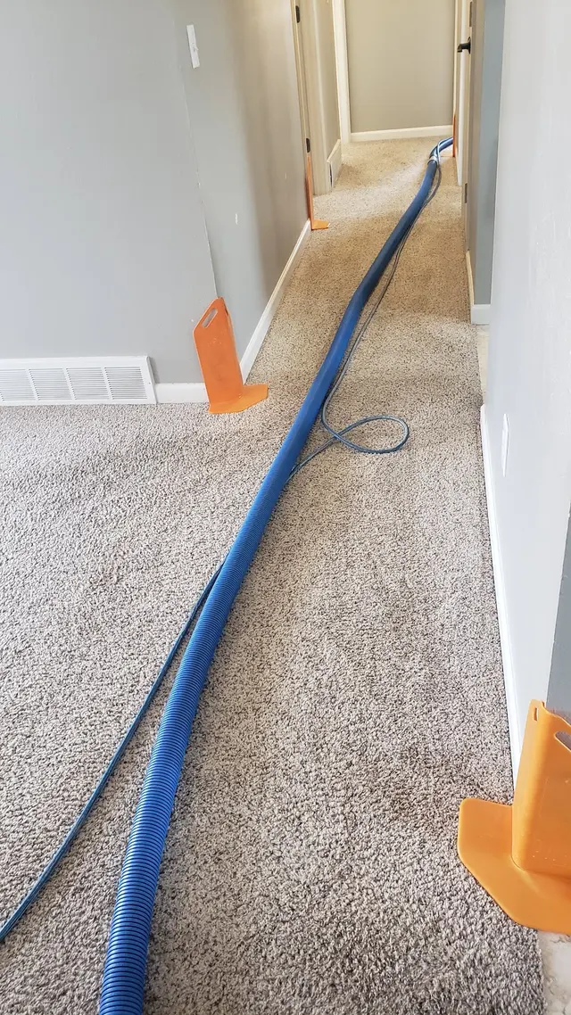 Healthy Home Services of Colorado — customer photo 1
