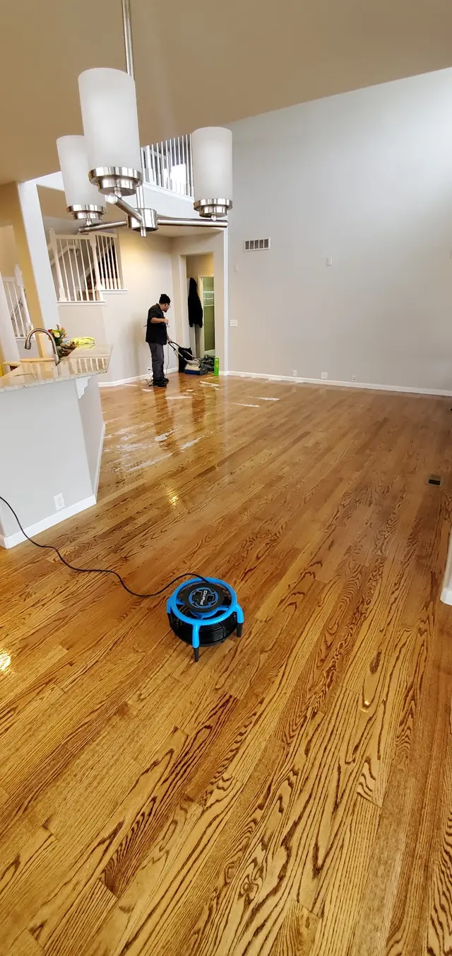 Robinson Custom Cleaning — photo from the business 3