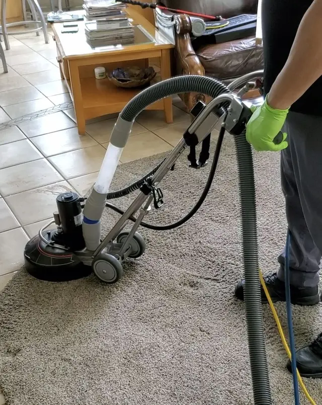 Robinson Custom Cleaning — photo from the business 8