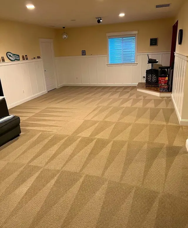 Denver Steam Cleaning Inc. — photo from the business 3