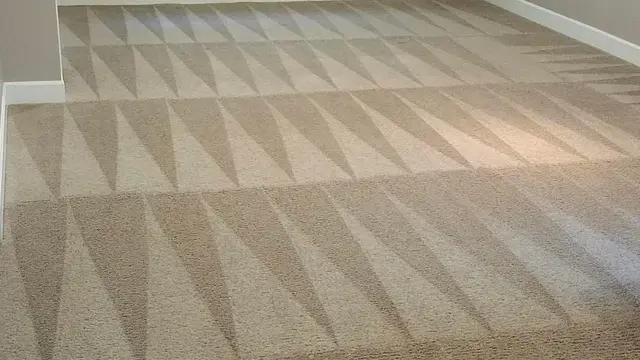 Denver Steam Cleaning Inc. — photo from the business 1