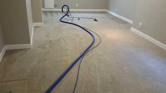 Denver Steam Cleaning Inc. — photo from the business 5