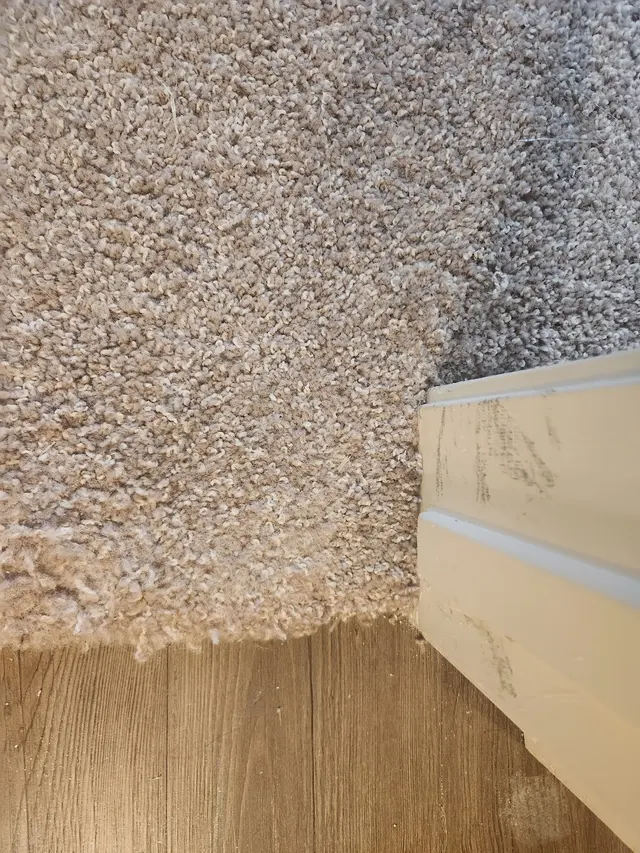 Denver Steam Cleaning Inc. — customer photo 8