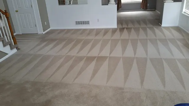 Denver Steam Cleaning Inc. — photo from the business 2