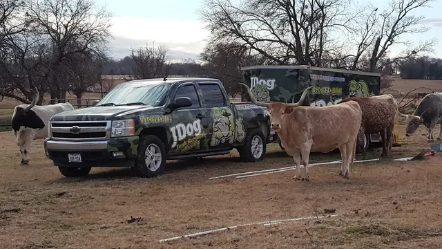 JDog Junk Removal and Hauling Frisco — photo from the business 1
