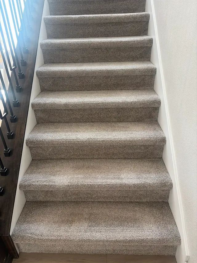Customer photo of work by Ever Steam Carpet Cleaning LLC, from Kathy Jones's review
